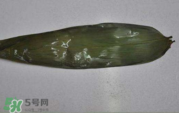 粽葉怎么曬干？粽葉怎么曬干不卷？