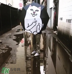 ripndip是什么牌子？ripndip是什么檔次？