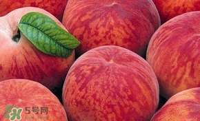 桃子和西瓜一起吃會(huì)中毒嗎？桃子和西瓜能一起吃嗎？