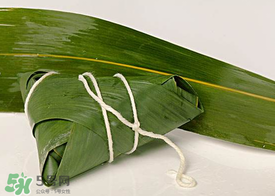 新鮮粽葉怎么處理？新鮮粽子葉怎樣處理？