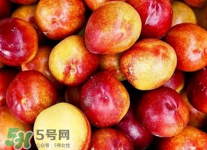桃子的種類有哪些？哪種桃子最好吃？
