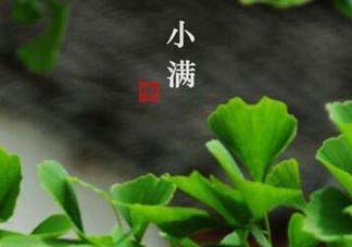?小滿可以回娘家嗎？?小滿能回娘家嗎？