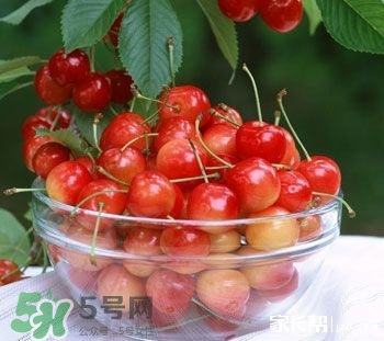 櫻桃是熱性還是涼性？櫻桃能多吃嗎？