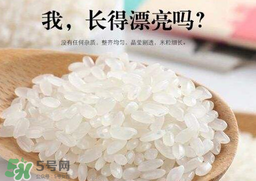大米可以包粽子嗎？包粽子大米要泡多久？