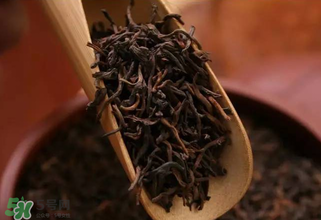 普洱茶能不能天天喝？天天喝普洱茶好嗎？