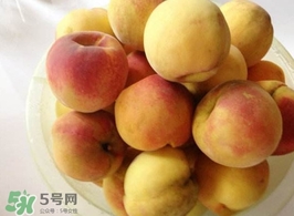 黃桃是發(fā)物嗎？黃桃是不是發(fā)物？