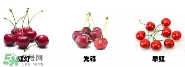 櫻桃和車厘子有什么區(qū)別？櫻桃和車厘子哪個貴？