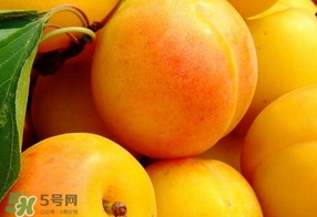黃桃是什么季節(jié)的？黃桃是轉(zhuǎn)基因的嗎