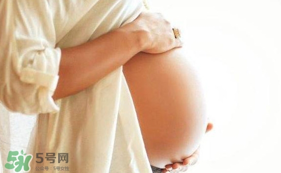 孕婦可以吃肉松蛋糕嗎？孕婦能吃肉松面包嗎