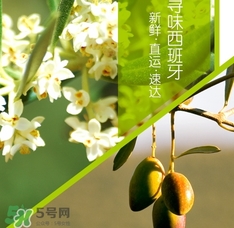 橄欖油可以去黑頭嗎？橄欖油怎么去黑頭？