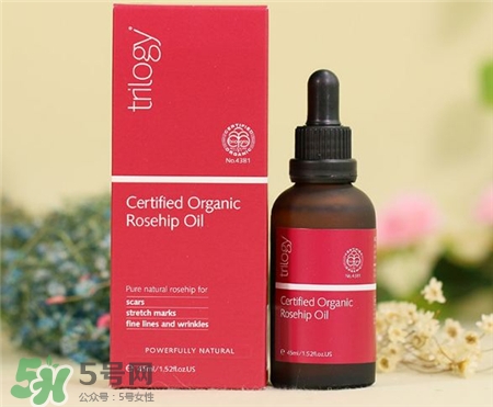 Trilogy玫瑰果油多少錢(qián)?Trilogy玫瑰果油價(jià)格