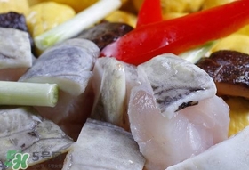 鱷魚(yú)肉有刺嗎？鱷魚(yú)肉有什么功效