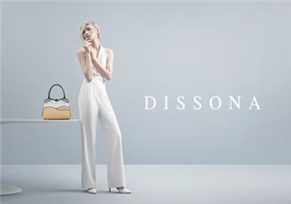 dissona是什么牌子？dissona迪桑娜是哪個國家的品牌？
