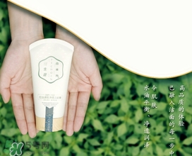 百雀羚三生花洗面奶多少錢？百雀羚三生花洗面奶價格