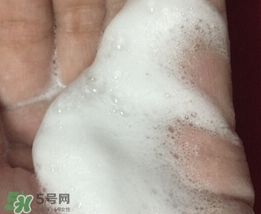 百雀羚三生花洗面奶多少錢？百雀羚三生花洗面奶價格