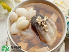 鱷魚肉燉湯要去皮嗎？鱷魚肉煲湯新鮮的好還是干的好