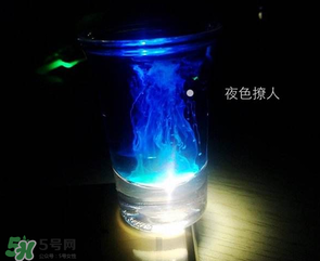 僵尸雞尾酒配方是什么？僵尸雞尾酒配方做法