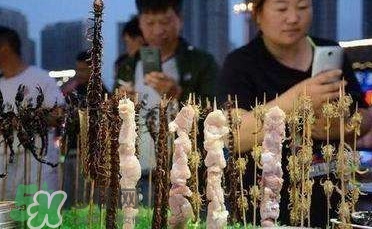 鱷魚肉價(jià)格多少錢一斤？吃鱷魚犯法嗎？