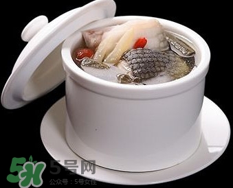 干鱷魚肉怎么吃？鱷魚肉怎么吃治咳嗽？