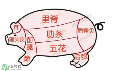 后臀尖多少錢一斤？豬后臀尖在哪？