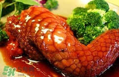 鱷魚肉是寒性的嗎？ 鱷魚肉是寒性還是溫性？