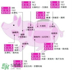 里脊肉是哪個(gè)部位？里脊肉是哪里的肉