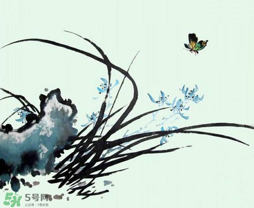 空谷幽蘭是什么書？空谷幽蘭講的是什么？