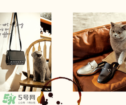 belle是什么牌子？百麗是哪個(gè)國(guó)家的品牌？