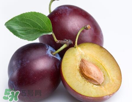 三華李可以放多久？三華李可以冷藏嗎？