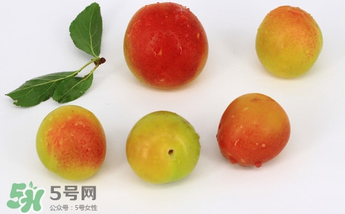 雙華李有什么營養(yǎng)？雙華李的營養(yǎng)價值