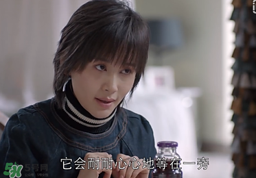 蒼蠅粉是什么意思？蒼蠅粉是什么東西？
