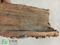 安哥拉樹(shù)皮的功效 安哥拉樹(shù)皮怎么用？