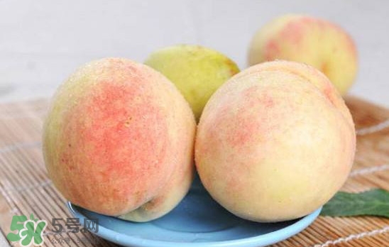 陽山水蜜桃多少錢一斤？無錫陽山水蜜桃價(jià)格
