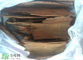 安哥拉樹皮能天天吃嗎？安哥拉樹皮天天吃可以嗎？