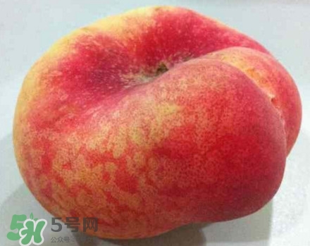 盤桃是蟠桃嗎？盤桃和蟠桃一樣嗎