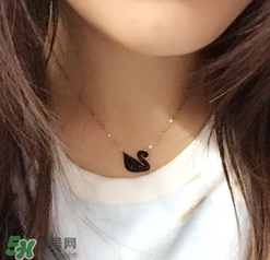施華洛世奇黑天鵝是什么材質(zhì)？施華洛世奇黑天鵝是水晶嗎？
