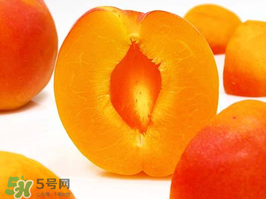 杏子幾月成熟？杏子什么時(shí)候成熟？