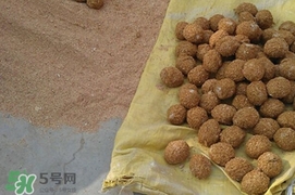松花蛋是怎么做出來(lái)的？松花蛋的家庭腌制方法