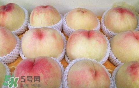 無(wú)錫水蜜桃多少錢一斤2017？無(wú)錫水蜜桃什么時(shí)候上市