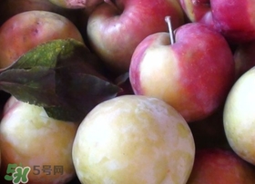 南華李什么時候成熟？南華李和三華李的區(qū)別
