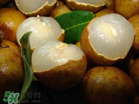 龍眼和桂圓是一種東西嗎？龍眼和桂圓的區(qū)別
