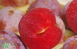 三華李可以和香蕉一起吃嗎？香蕉能和三華李一起吃嗎