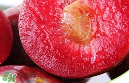 雙華李幾月可以吃？雙華李什么季節(jié)成熟