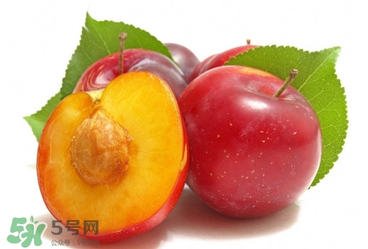 三華李可以放多久？三華李可以冷藏嗎？
