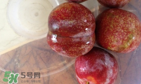 三華李是寒性還是熱性水果？三華李是涼性水果嗎