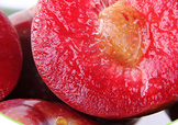 雙華李幾月可以吃？雙華李什么季節(jié)成熟