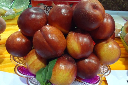 三華李可以用鹽泡嗎？三華李能用鹽水泡嗎