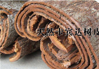 安哥拉樹(shù)皮能天天吃嗎？安哥拉樹(shù)皮天天吃可以嗎？