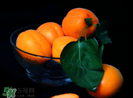 杏子可以和芒果一起吃嗎？吃完杏子可以吃芒果嗎？