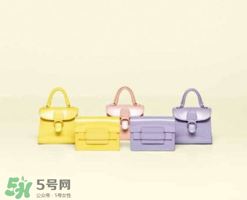 delvaux2017春夏系列包包款式有哪些_好看嗎？
